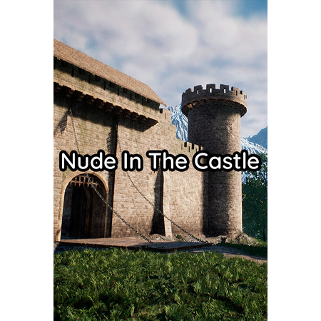 Nude In The Castle (PC - Steam elektronikus játék licensz)