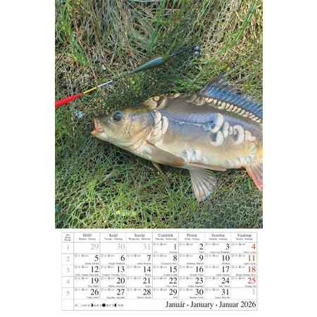 CSG Naptár, fali,  "Horgász" (NCFN099)