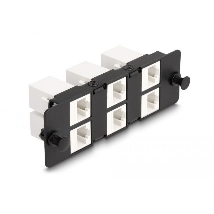 Delock keystone adapter panel 6 port 1U 19