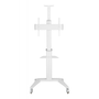 Techly ICA-TR48W 32"-70" LCD TV/Monitor állvány - Fehér