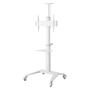 Techly ICA-TR48W 32"-70" LCD TV/Monitor állvány - Fehér