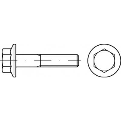 TOOLCRAFT TO-5391342 hatlapfejű csavar M8 30 mm külső hatlap 200 db