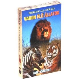 Vadon élő állatok ismeretterjesztő kártya (16255)