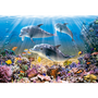 Castorland Dolphins Underwater 500 pcs Пъзел 500 броя Флора и фауна