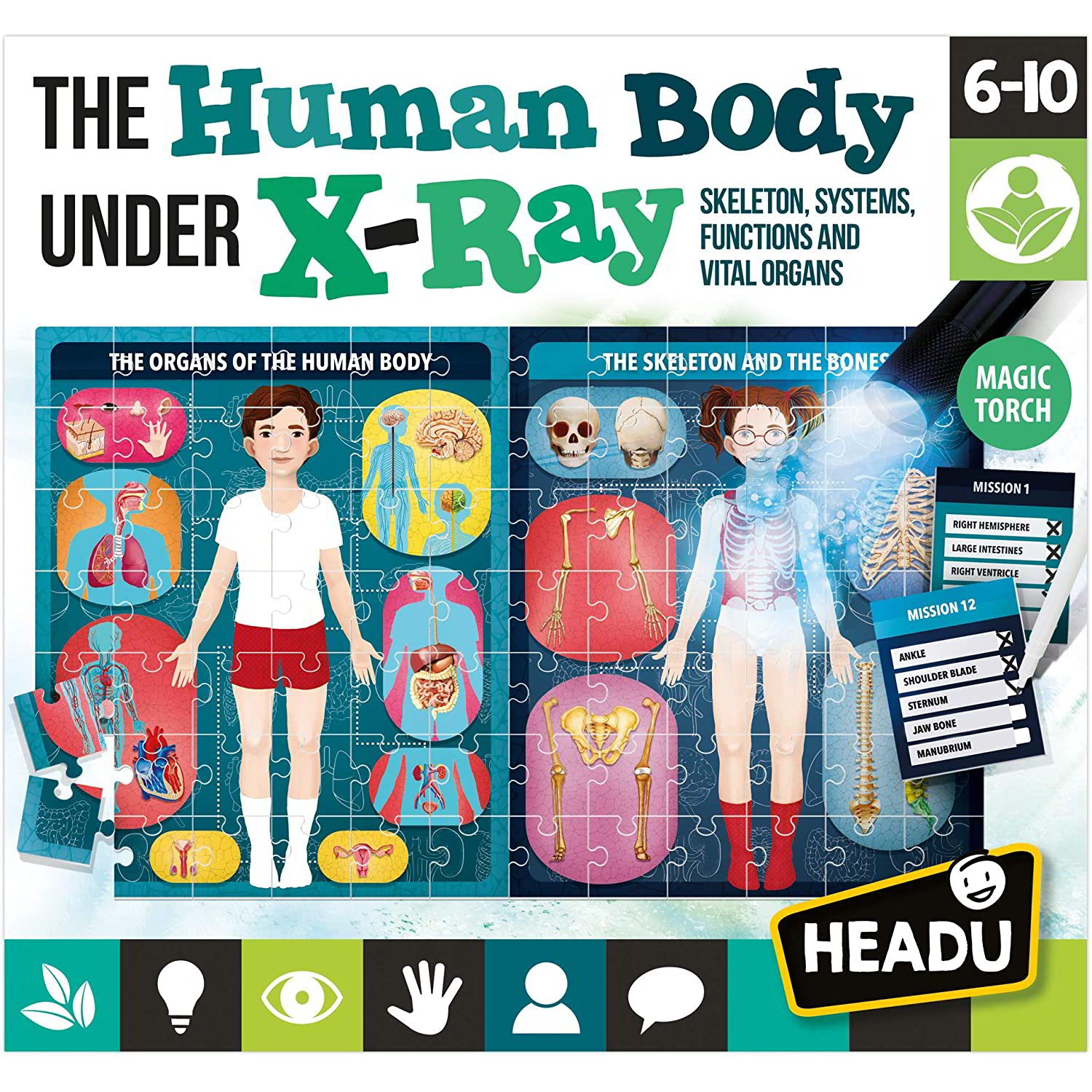 Headu: Az emberi test röntgen alatt logikai puzzle (EN22762)