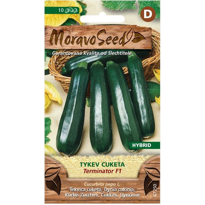 Cukkini TERMINATOR F1 - hibrid, zöld (3807mm)