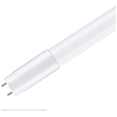 Paulmann  LED csövek EEK: F (A - G) G13 T8 11 W Melegfehér (O) 27 mm 1 db (29172)