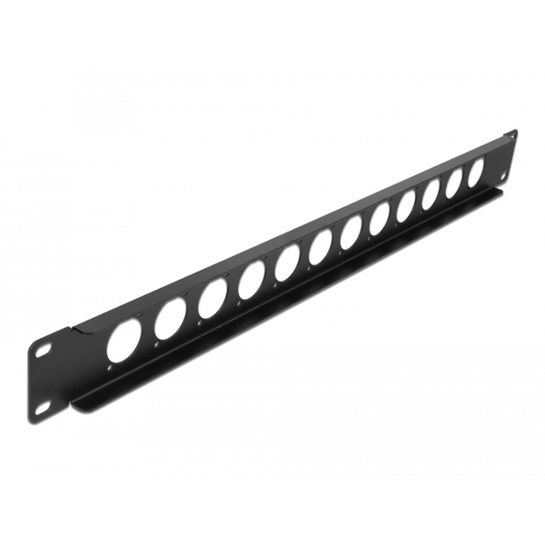 Delock 19? D-Typ Patchpanel 12 Port schwarz