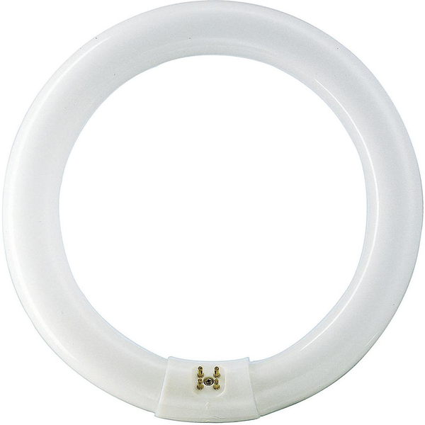 Philips TL-E Super 80 928026384040 neonlampe 32 W G10q Kold hvid