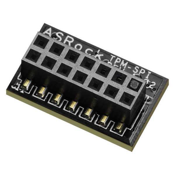 ASRock TPM-SPI TPM 2.0 Modul