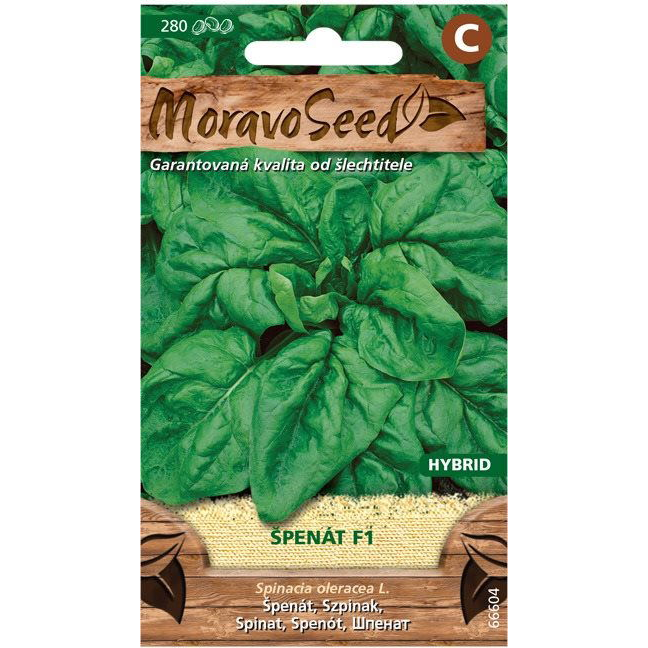 Spenót F1 - hibrid (3665mm)