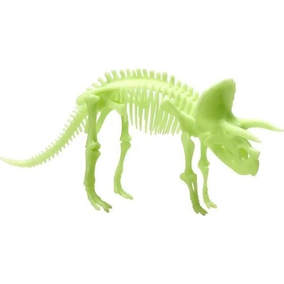  Teka ¦wiec±cy w ciemno¶ci szkielet Triceratops