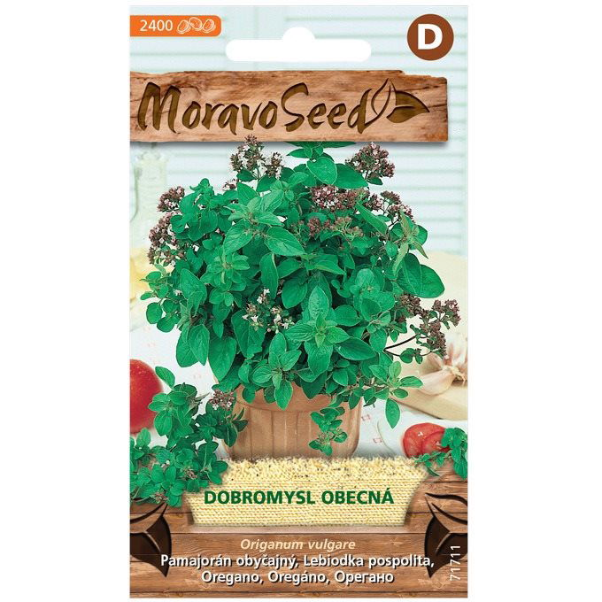 Közönséges orbáncfű - oregánó (0570mm)