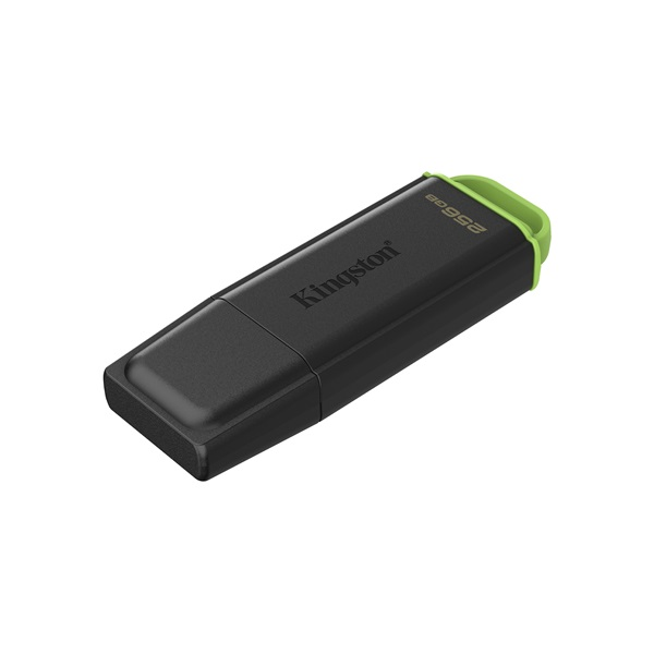 Kingston Technology DataTraveler Exodia USB-nøgle 256 GB USB Type-A 3.2 Gen 1 (3.1 Gen 1) Sort, Grøn