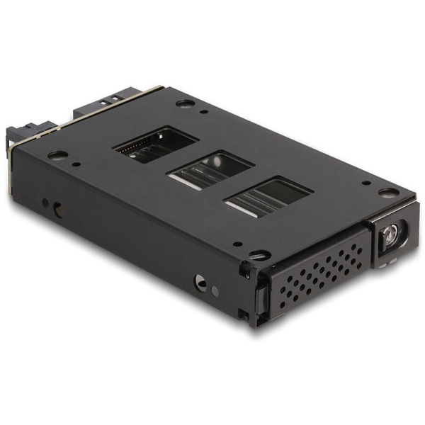 DELOCK Slim Bay Wechselrahmen für 1 x 2.5? U.2 NVMe SSD