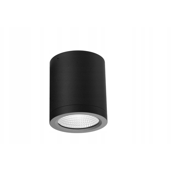 Azzardo Conyon AZ6027 plafon lampa sufitowa spot IP54 1x15W LED 3000-4000-6000K 900 lm czarny