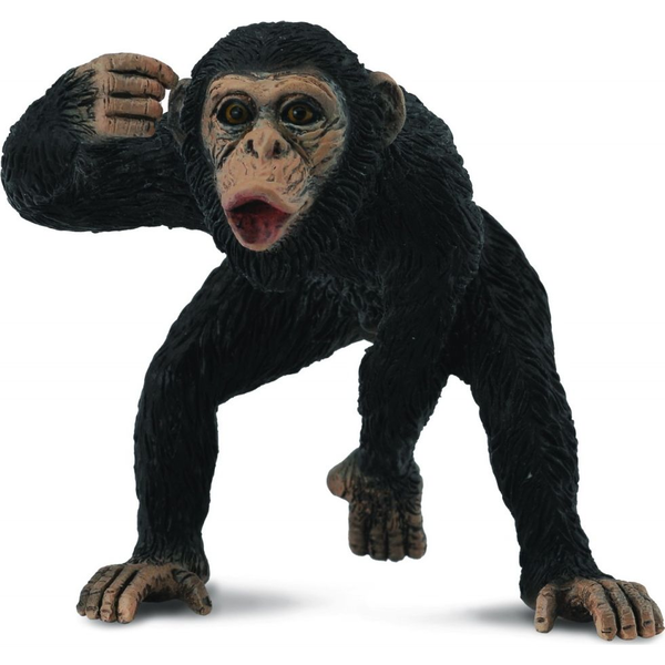 Figurka Collecta Szympans samiec 88492 COLLECTA - 004-88492