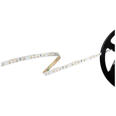 Barthelme Basic 60 (51541134) LED csík Nyílt kábelvég 12 V 5 m Hidegfehér 1 db (51541134)