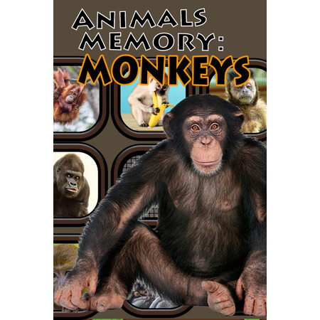Animals Memory: Monkeys