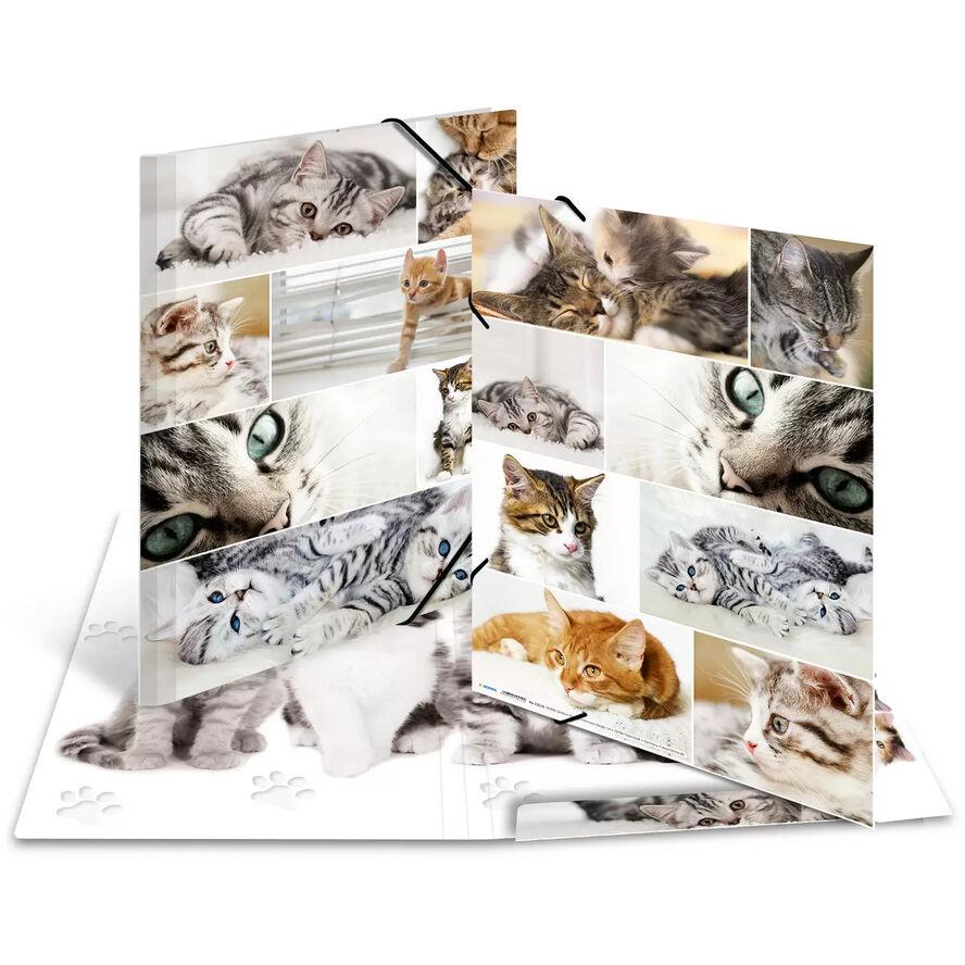 HERMA Sammelmappe A3 Katzen Pappe (19219) (19219)