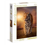 Clementoni Tigris 1500db-os Puzzle - High Quality Collection, - Lányoknak és Fiúknak, 10 éves kortól