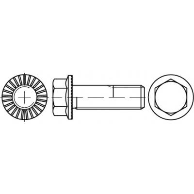 TOOLCRAFT TO-5444589 hatlapfejű csavar M14 45 mm külső hatlap 88913 100 db (TO-5444589)