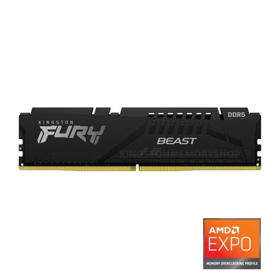 Kingston Fury Beast Black Expo DDR5 8GB 5600MT/s