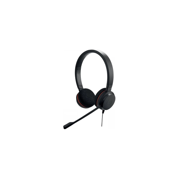 Jabra Evolve 20 Casque Avec fil Arceau Bureau/Centre d'appels USB Type-C / USB Type-A Noir