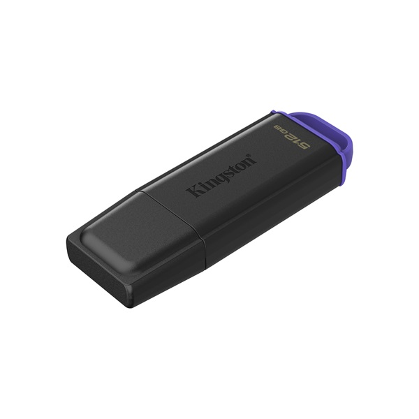 Kingston Technology DataTraveler Exodia USB-nøgle 512 GB USB Type-A 3.2 Gen 1 (3.1 Gen 1) Sort, Violet