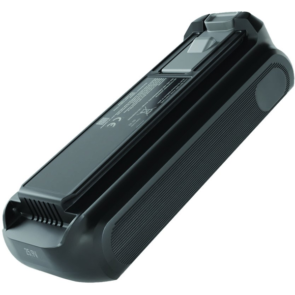 Rowenta X-Force ZR009706 accessorio e ricambio per aspirapolvere Batteria Aspirapolvere portatile