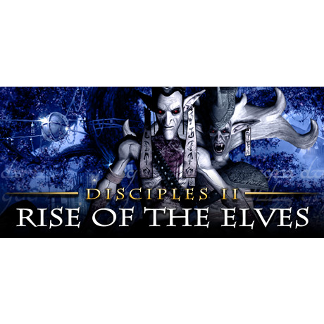 Disciples II: Rise of the Elves (PC - Steam elektronikus játék licensz)