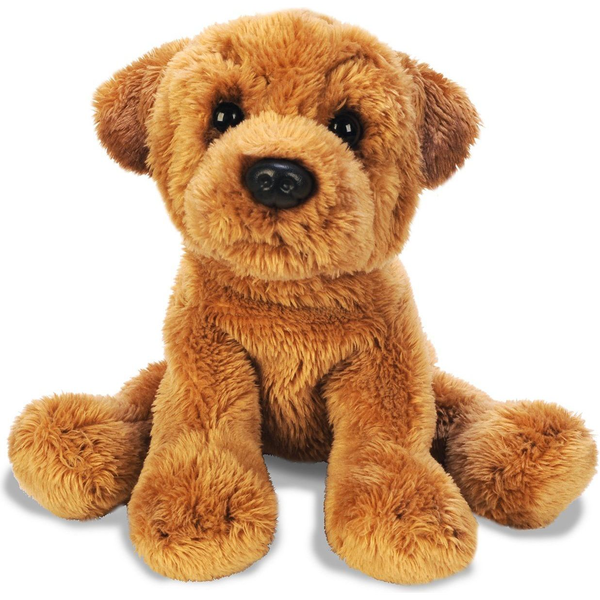 Suki Siedzący Shar Pei