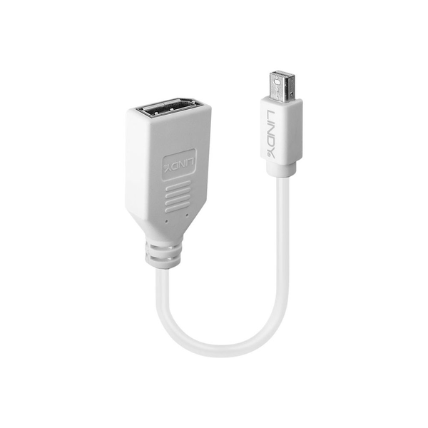 Lindy - DisplayPort adapter - Mini DisplayPort to DisplayPort - 15 cm