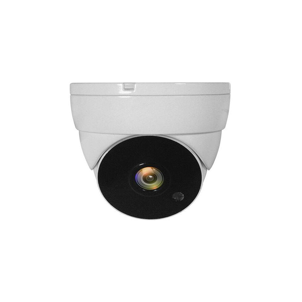 LevelOne ACS-5302 overvågningskamera Kuppel CCTV sikkerhedskamera Indendørs & udendørs Loft