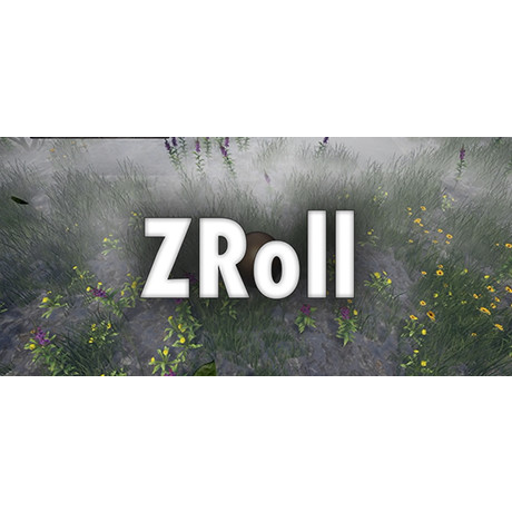 ZRoll (PC - Steam elektronikus játék licensz)