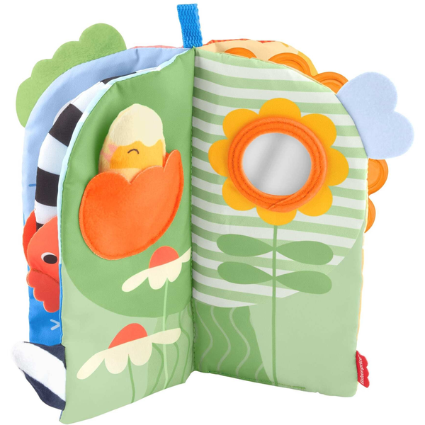 Fisher-Price JKP53 giocattolo educativo