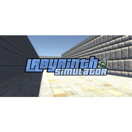 Labyrinth Simulator