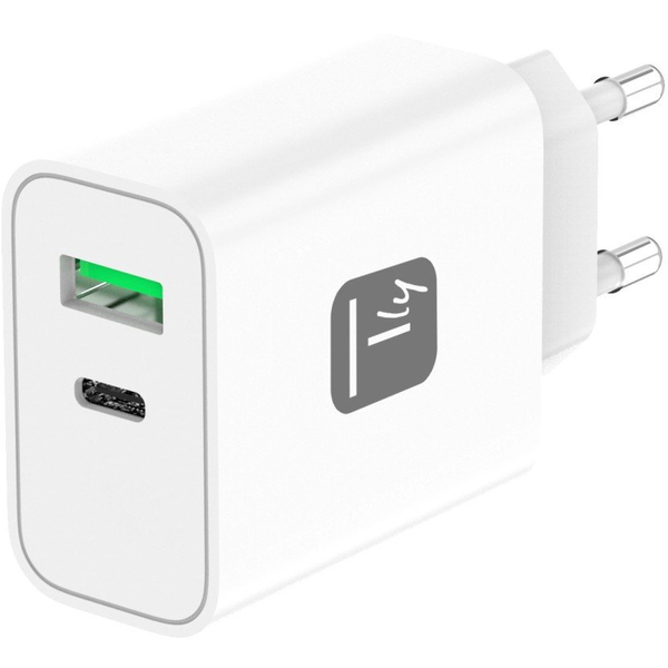 Techly IPW-USB-30WACG Ladegerät für Mobilgeräte Universal Weiß AC Schnellladung Drinnen