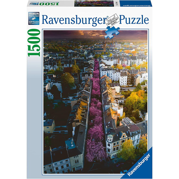 Rompecabezas De 1500 Piezas - Bonn En Flor Ravensburger