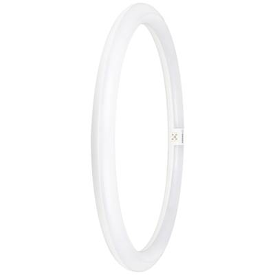 Osram LED EEK: E (A - G) G10q Gyűrű forma 24 W = 40 W Hidegfehér (O x H) 400 mm x 400 mm 1 db (4099854042744) (4099854042744)