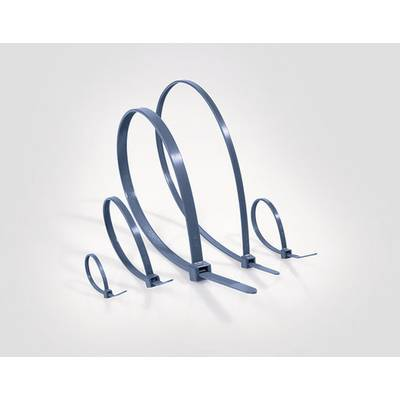 HellermannTyton 111-01665 MCTPP30R-PPMP-BU Kábelkötöző Kék 100 db (111-01665)