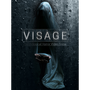 Visage