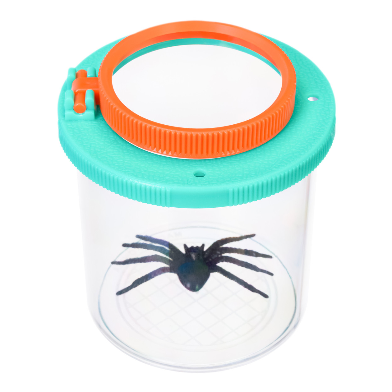 Levenhuk Discovery Basics CN5 bogártartó üveg (L-79650) (L-79650)