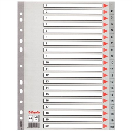 Esselte A4 Műanyag regiszter- Szürke (100107)