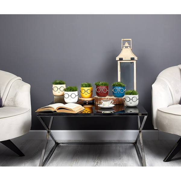 Iris E5670 Szemüveges fej Cserepes művirág Asztali Dekoráció 10x14cm - Többféle