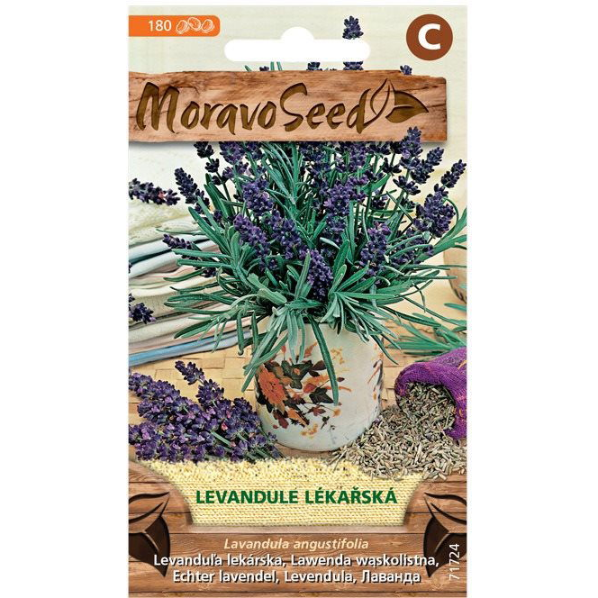 Orvosi levendula (1520mm)