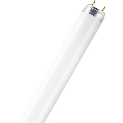 OSRAM Fénycső EEK: A (A++ - E) G13 18 W Cső forma (O x H) 26 mm x 590 mm 1 db (4050300325675)