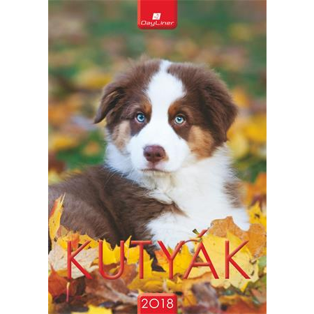 Dayliner Fali Naptár - Kutyák (GO8-FA-KU-B4)