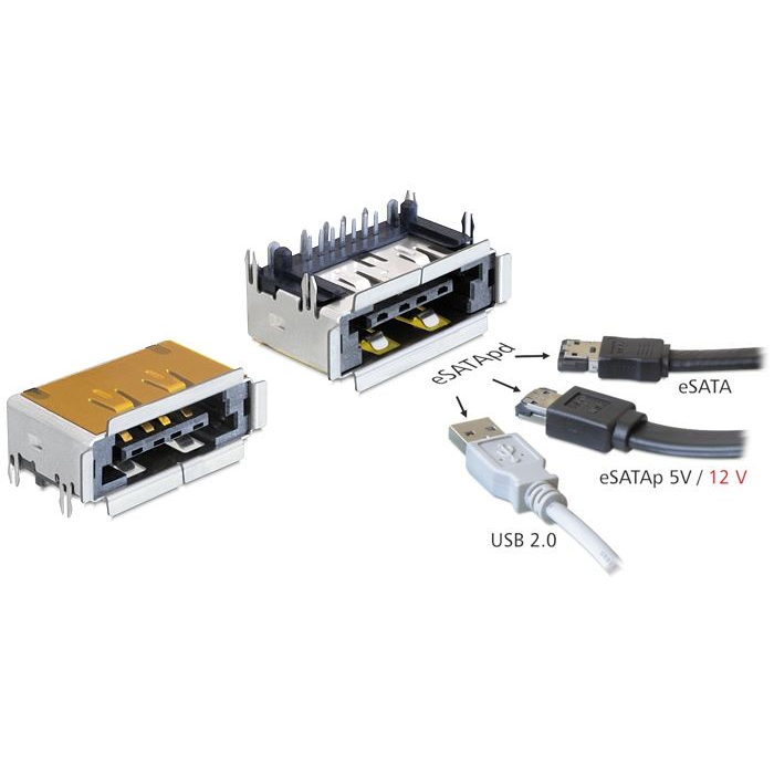 Delock eSATApd anya eSATA + USB 2.0 5 V / 12 V csatlakozó (65297) (d65297)