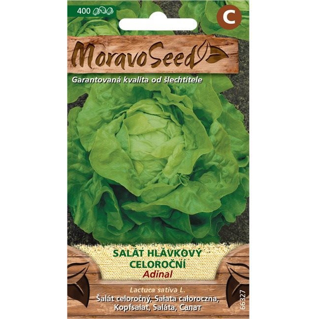 Fejes saláta ADINAL, egész évben termő (3540mm)